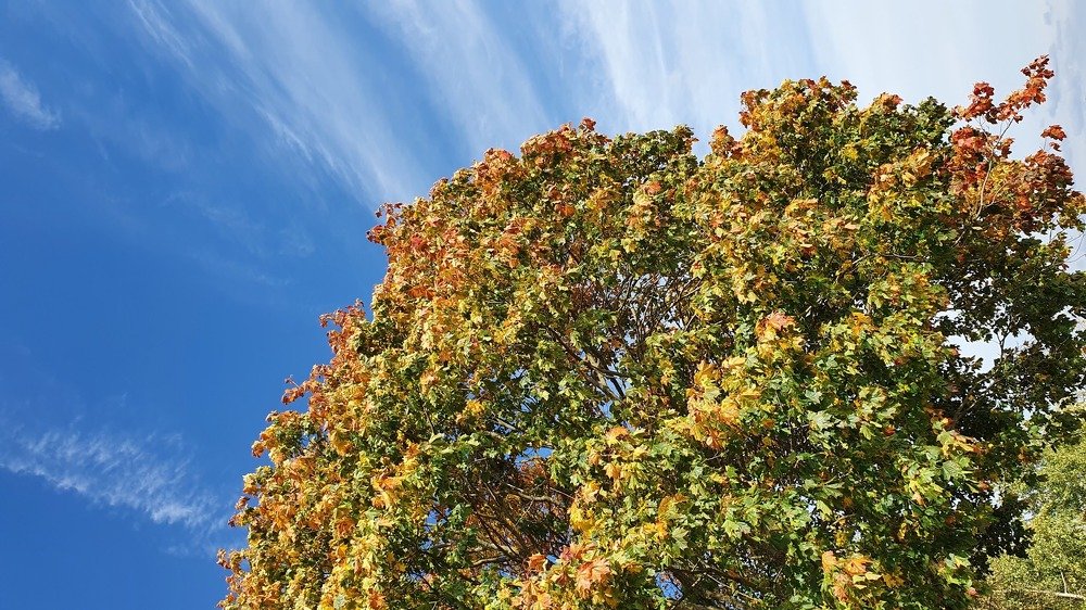 Photograph by Элеонора Ермакова