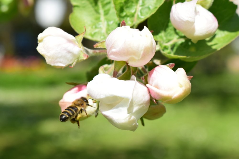 Photograph by Laila Ditmane