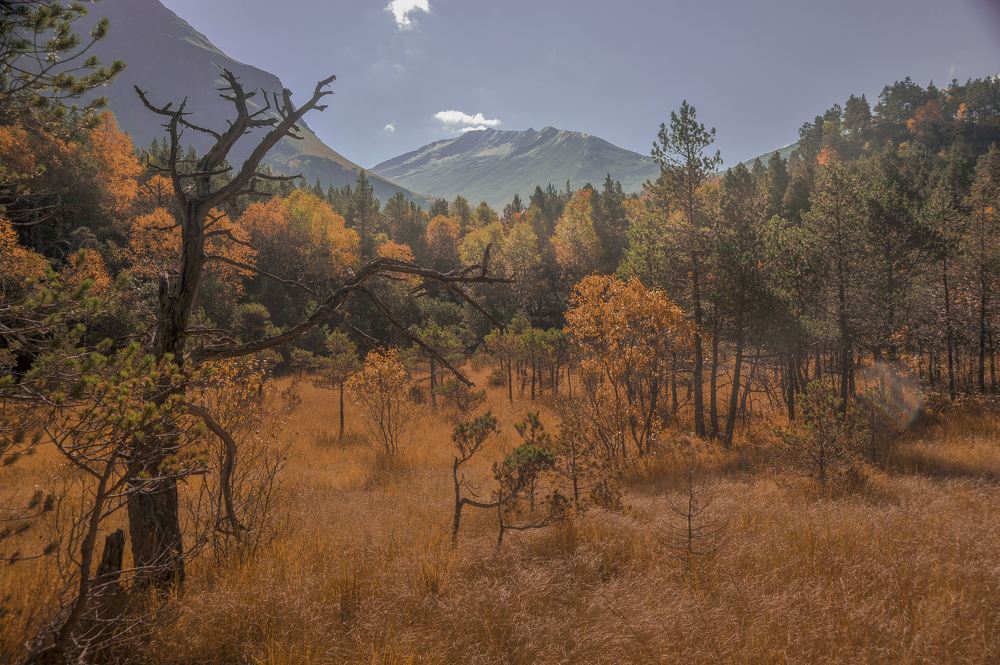 Photograph by Илья Кузнецов