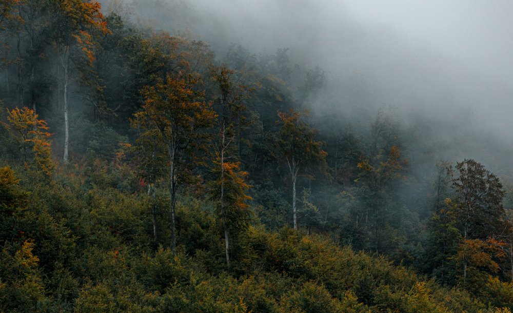 Photograph by Ernest Mazarekić