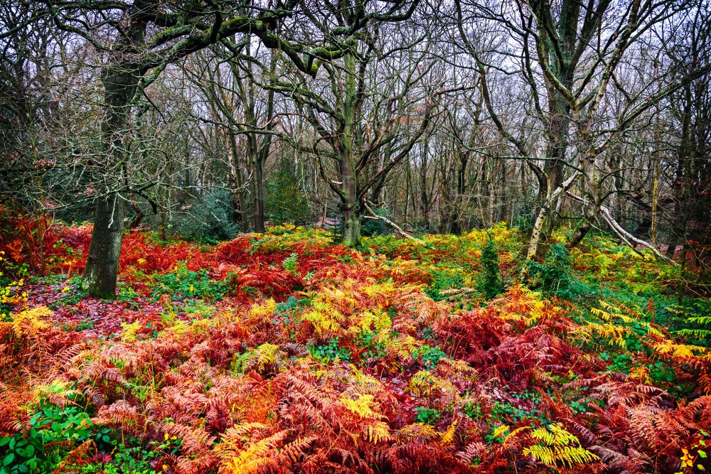Photograph by Белов Сергей