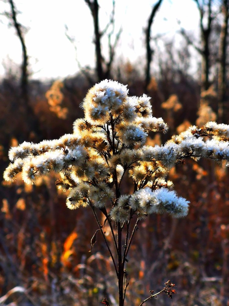 Photograph by Елена Артёменко