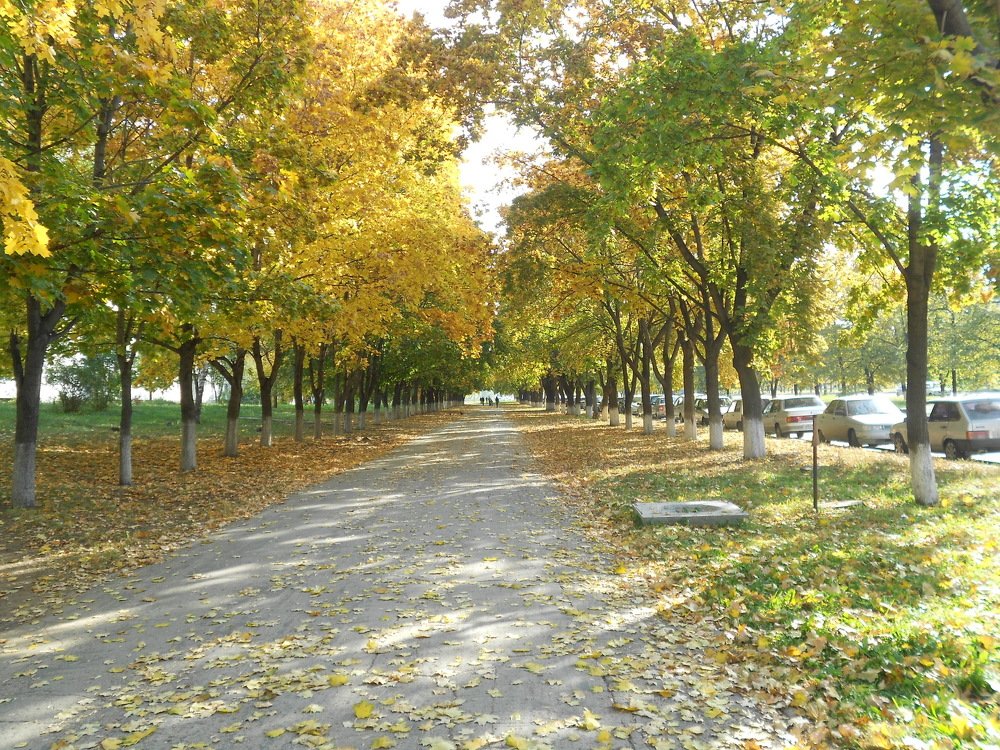 Photograph by Любовь Панфилова