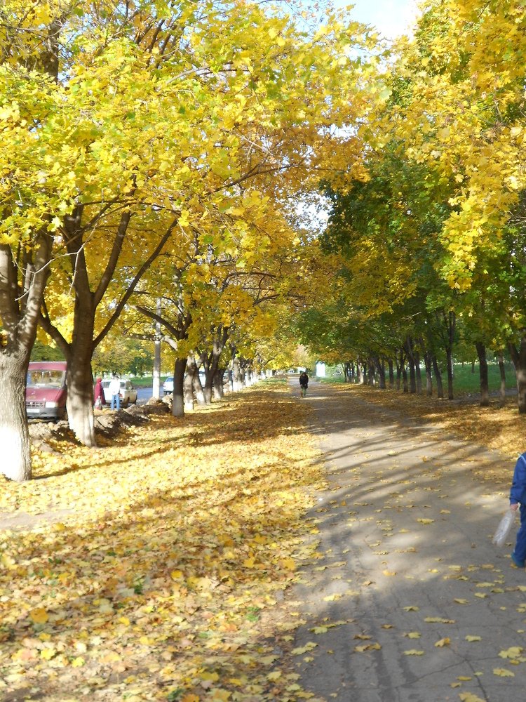 Photograph by Любовь Панфилова