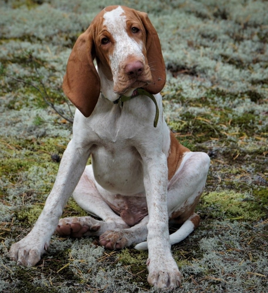 Photograph by Марина Безенкина