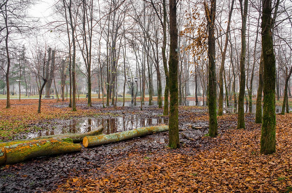 Photograph by Sahar Jafari