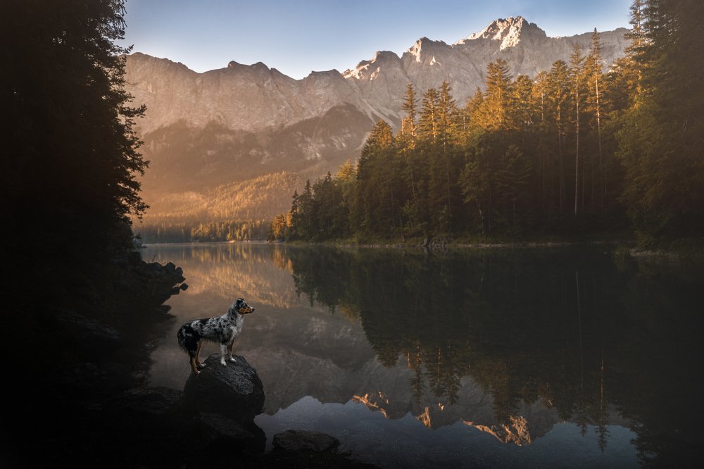 Фотография автора Denise Czichocki