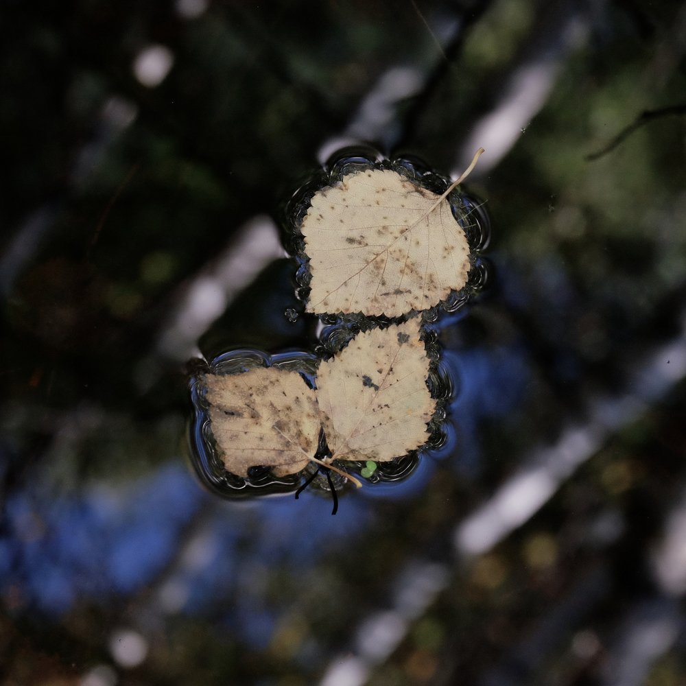 Photograph by Дмитрий