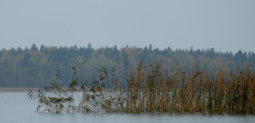Photograph by Дмитрий