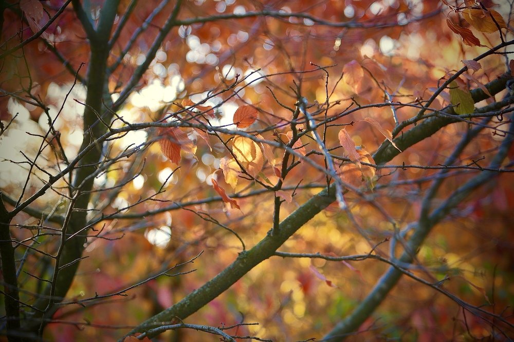 Photograph by Viktoria Okhrimenko