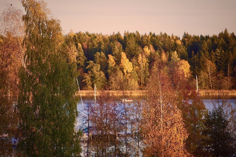 Photograph by Viktoria Okhrimenko