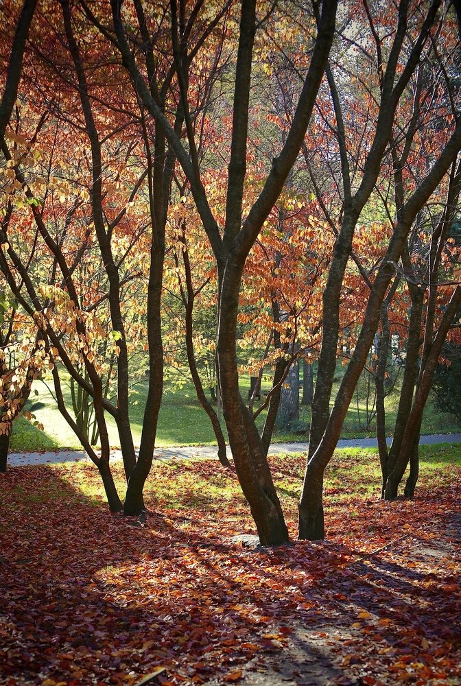 Photograph by Viktoria Okhrimenko