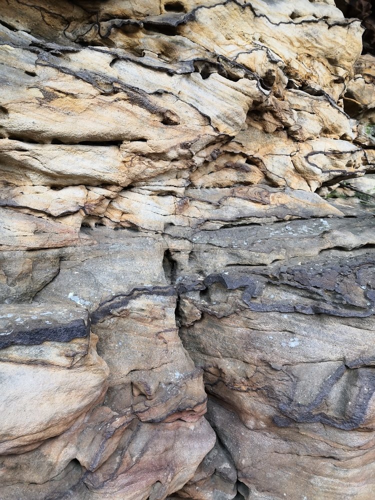 Photograph by Марина Варанкина