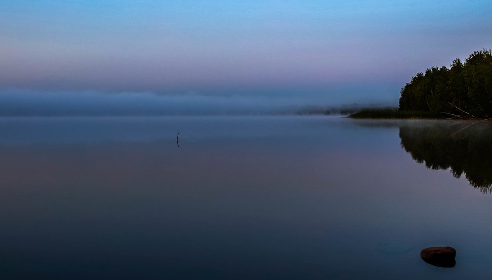 Туманное утро