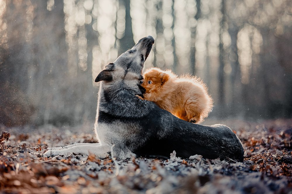 Photograph by Дарья Лазарева