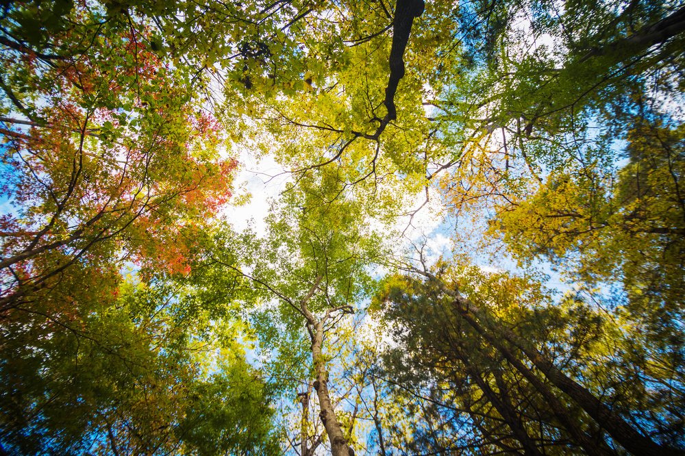 Photograph by Сигида Дмитрий