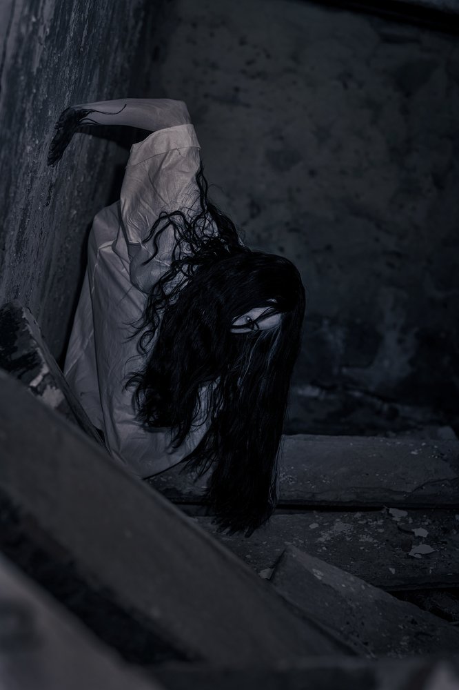 Фотография автора Диана Липкина