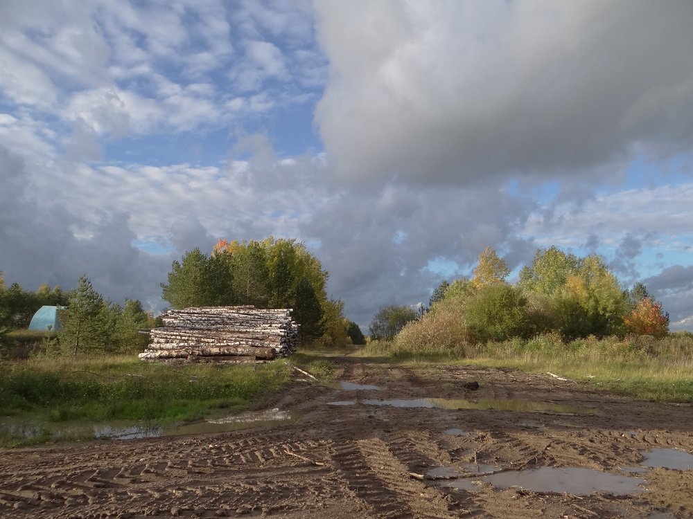 Photograph by Александр Егоров