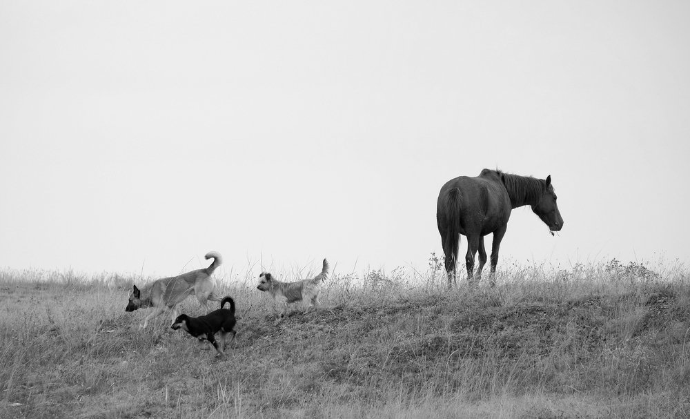 Photograph by Дмитрий