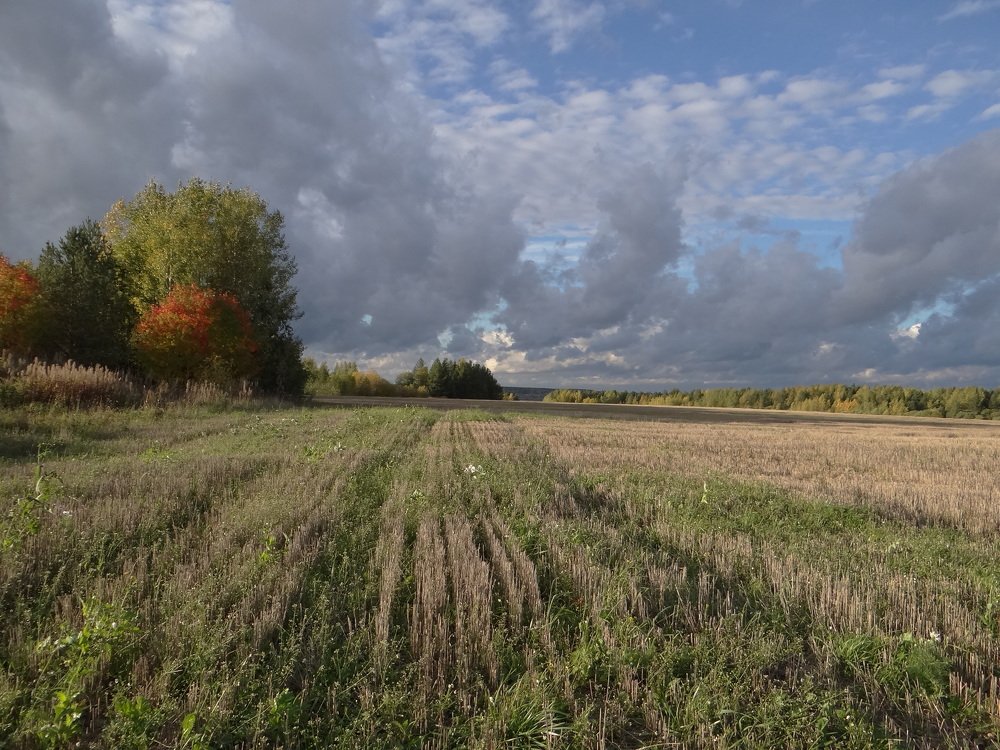 Photograph by Александр Егоров