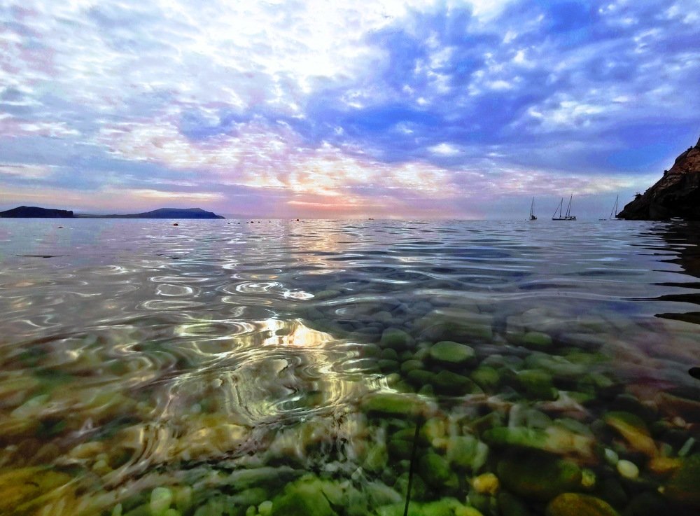 хаос цветов природы