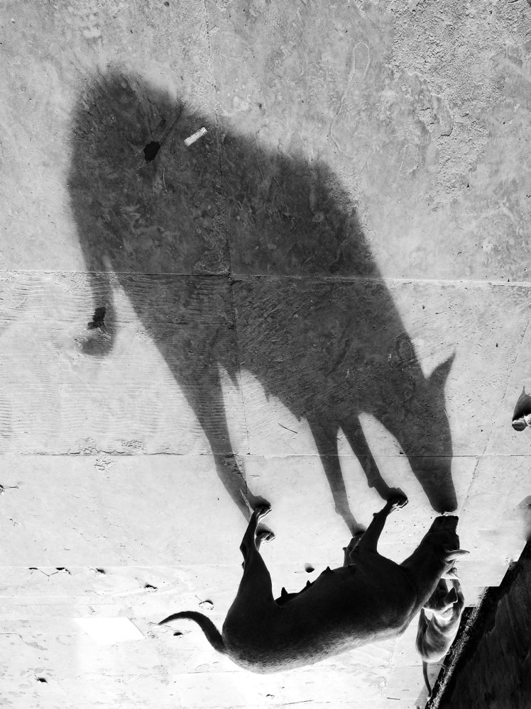 Horrible reflection.