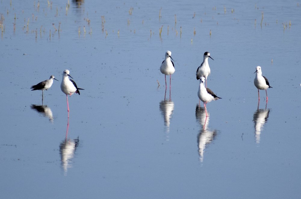 Photograph by Suyothami