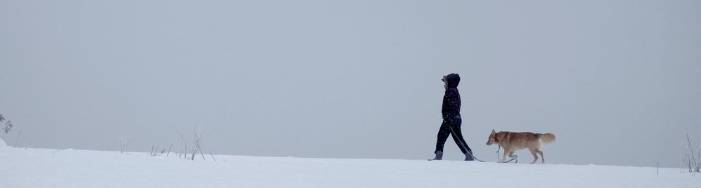 Photograph by Дмитрий