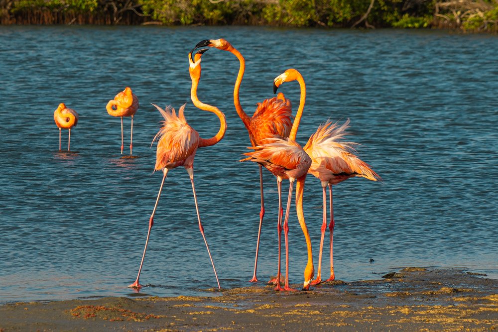 Фотография автора Julia A Caesar