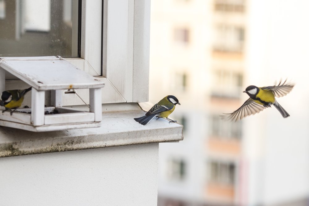 Фотография автора Гудкова Светлана