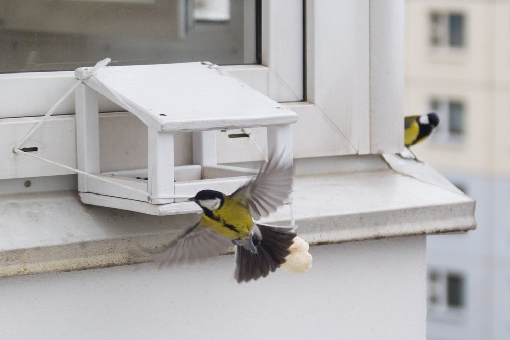 Фотография автора Гудкова Светлана