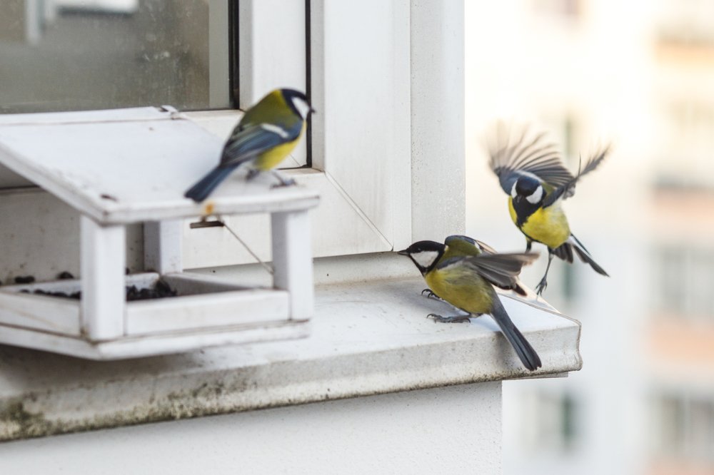 Фотография автора Гудкова Светлана