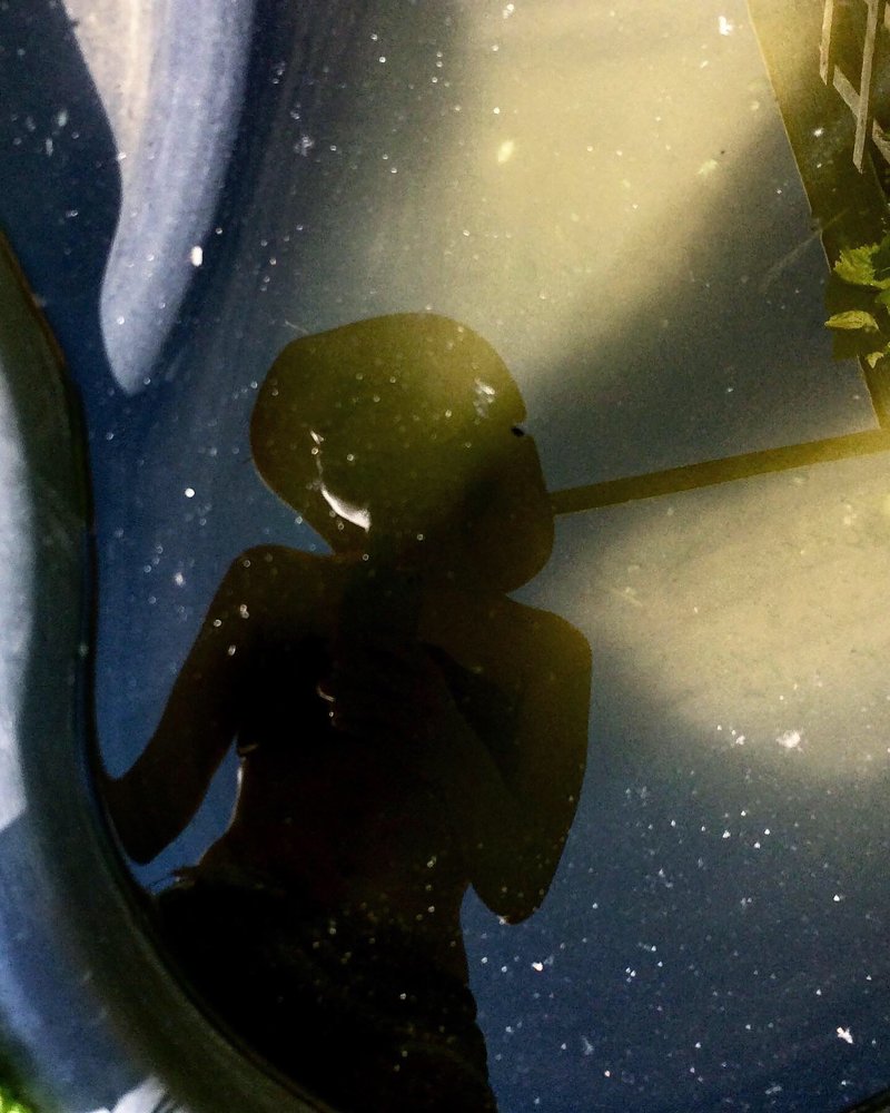 Photograph by Валяева Анастасия