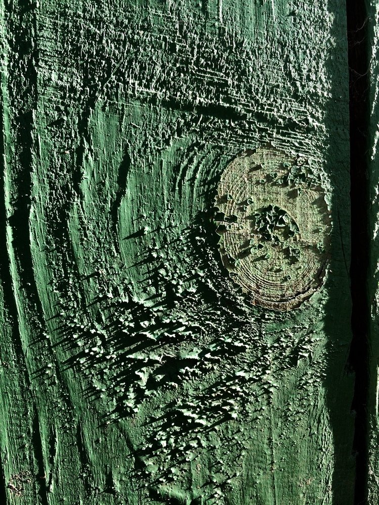 Photograph by Валяева Анастасия