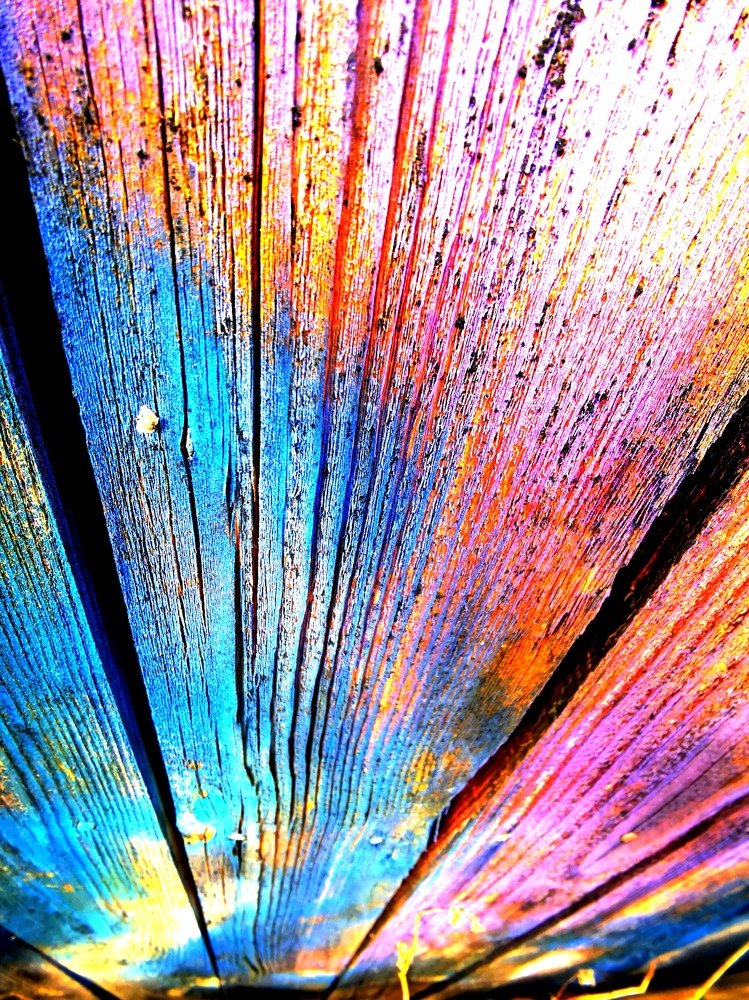 Photograph by Елена Артёменко