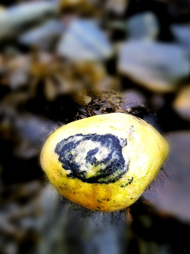 Камень на морском берегу