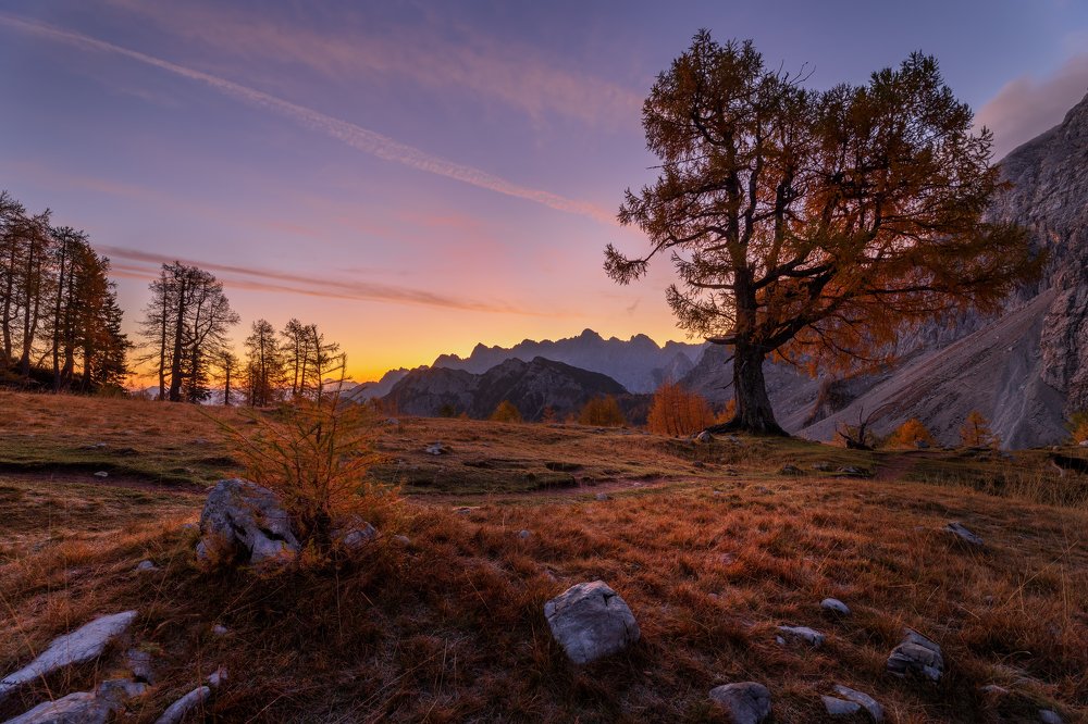 Photograph by Bor Rojnik
