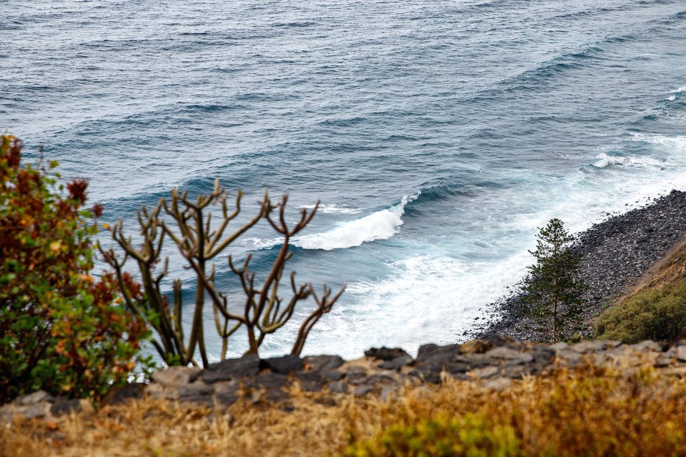 Фотография автора Гудкова Светлана