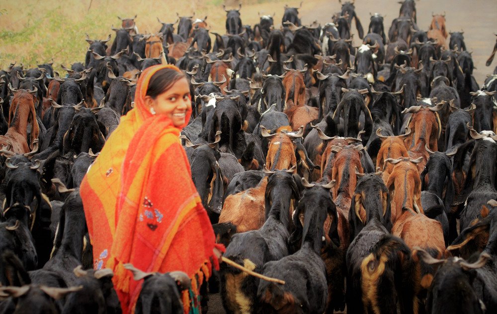 Photograph by Nirmalya Chakraborty