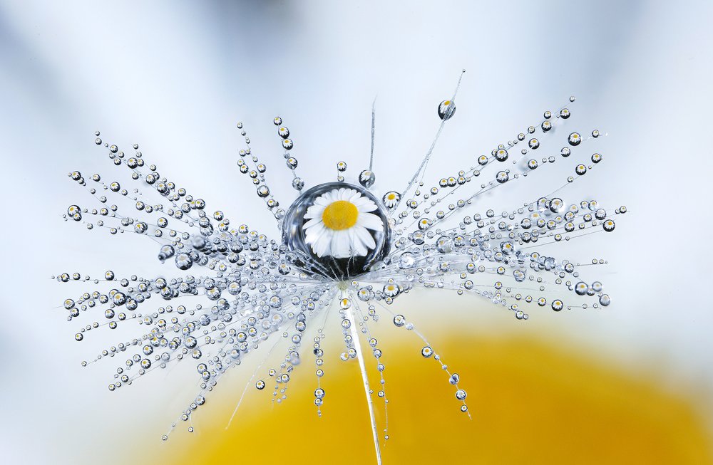 Photograph by Иван Радьков