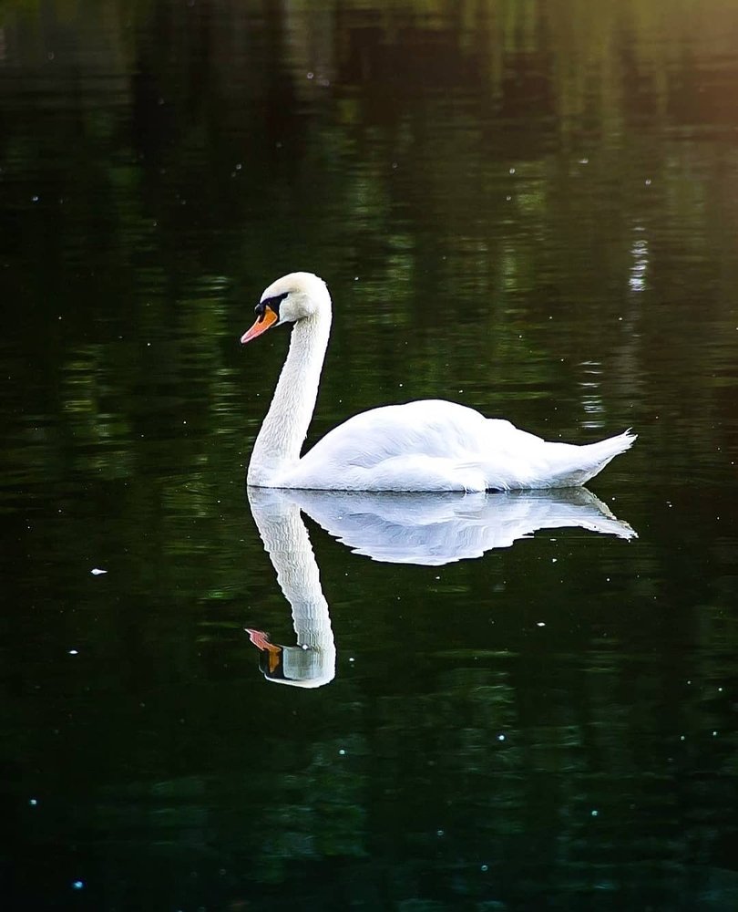 Photograph by Angelina Bukina