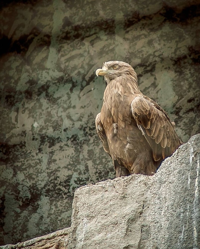 Photograph by Angelina Bukina