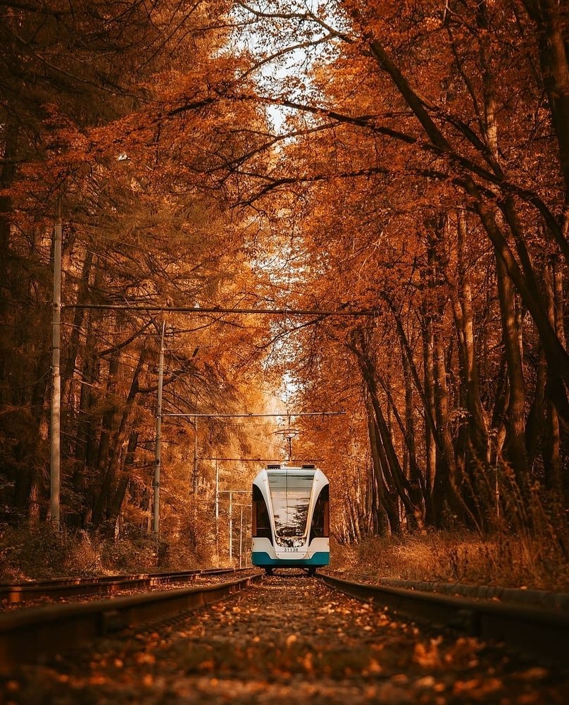 Photograph by Angelina Bukina