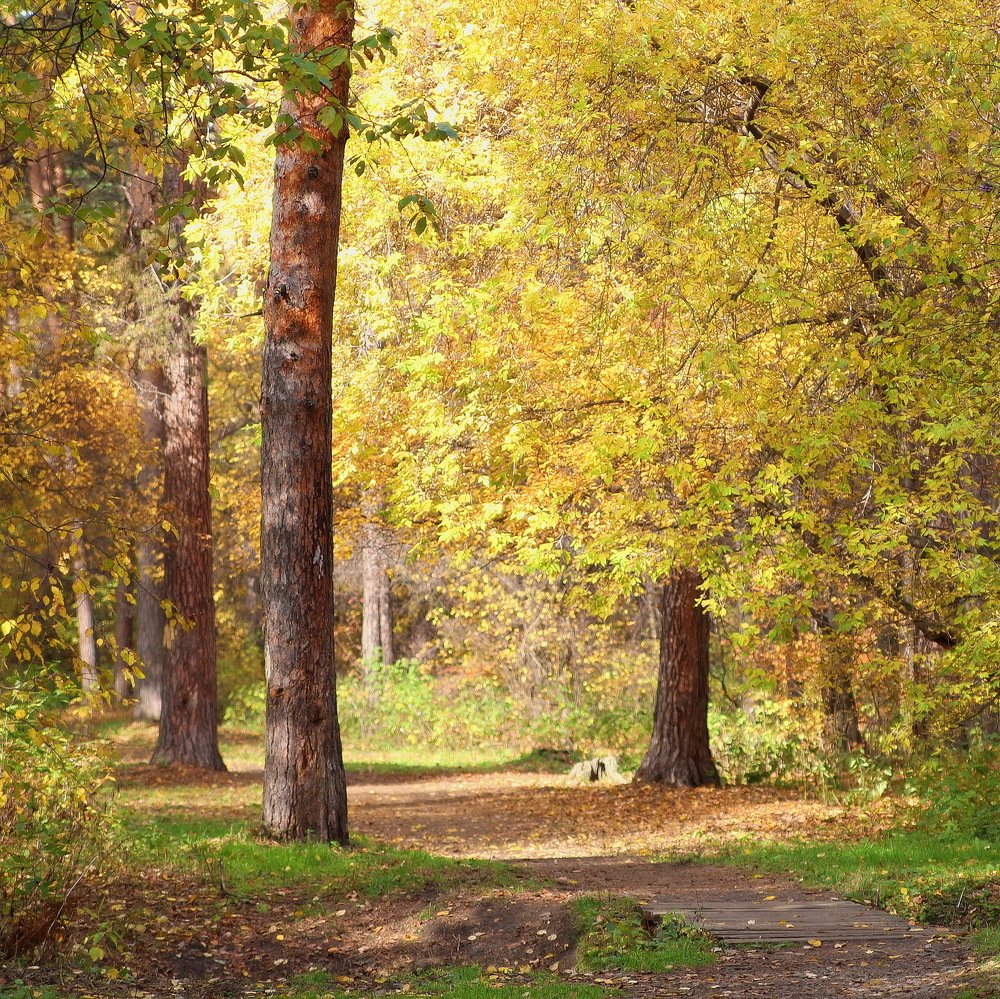 Photograph by Александр Юдин