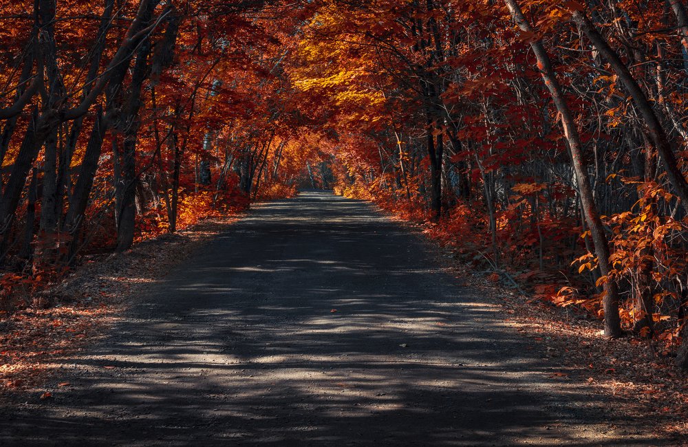 Photograph by Дмитрий Петренко