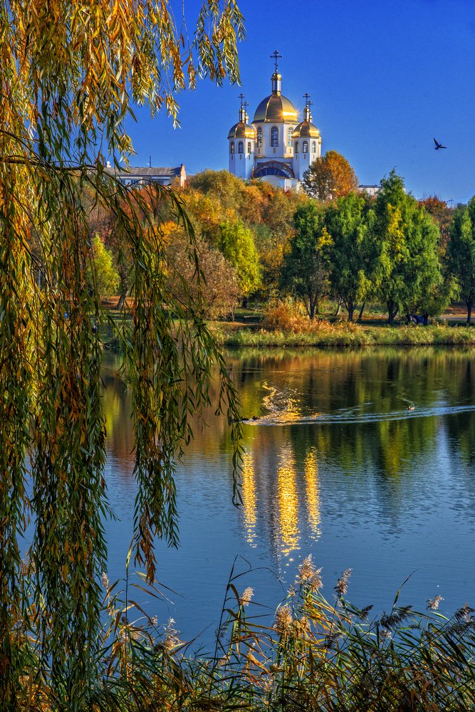 Золото осени.