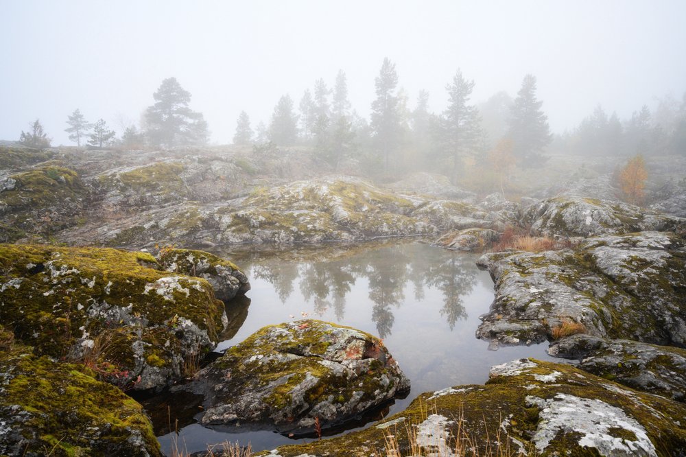 Photograph by Юлия Лаптева