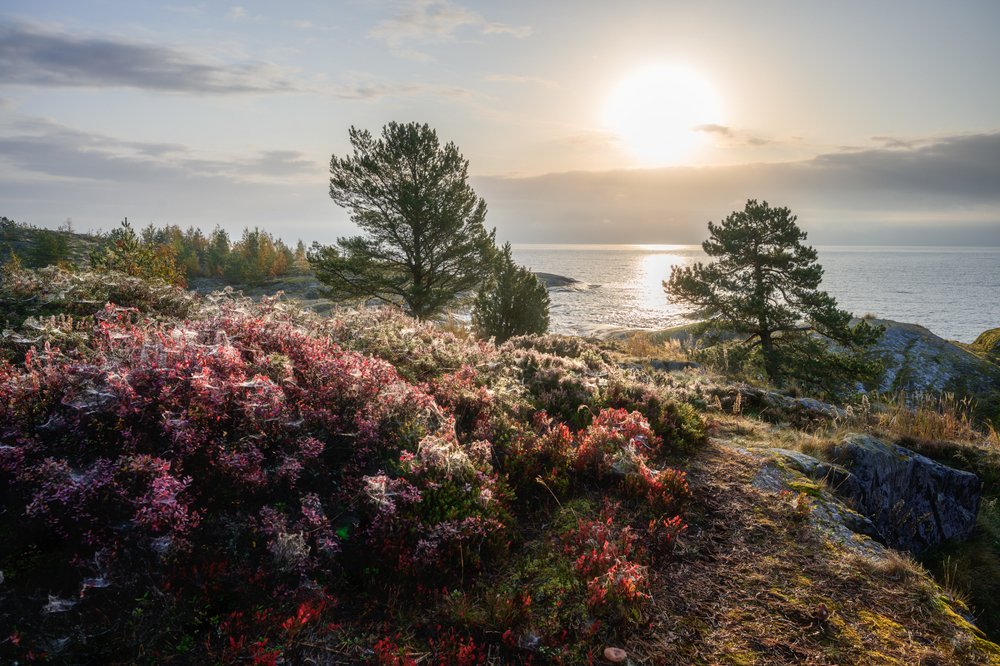 Photograph by Юлия Лаптева