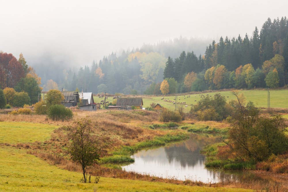 Photograph by Юлия Лаптева