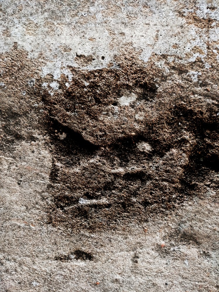 Photograph by Debarun Biswas